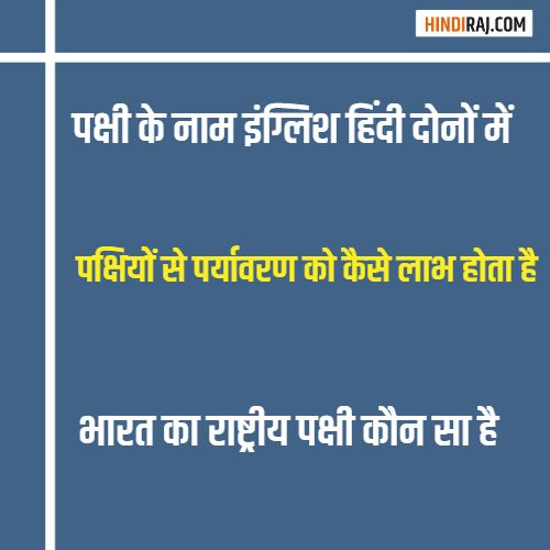 Birds Name in Hindi and English