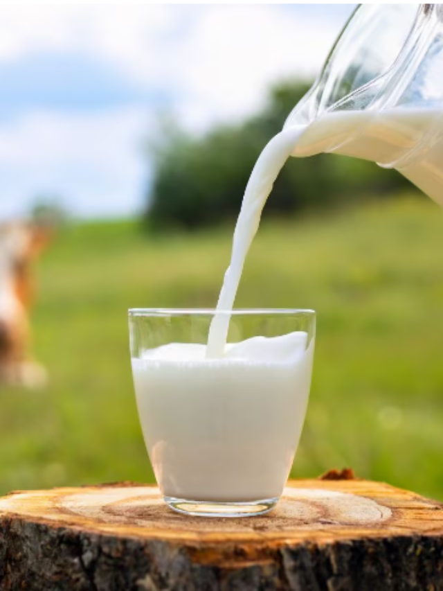 Benefits of Milk in Hindi