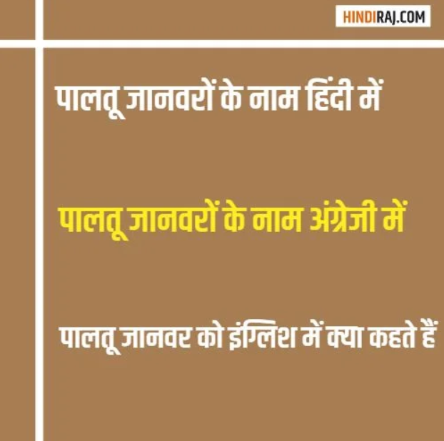 पालतू जानवरों के नाम